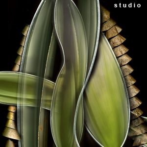 Fabrication - photo collage from multiple scans of original objects scannography fine art photograph