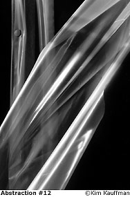B&W abstract photo of shower curtain