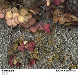 Brocade Sensuality from the Collaborations series by Kim Kauffman made with multpile scans from orignal objects scannography