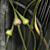 Weave from the Collaboration Series by Kim Kauffman Scannography Photo Collage made with multiple scans from original 3d objects