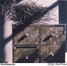 Enclosures a hand colored BW silver print from excerpts by Kim Kauffman