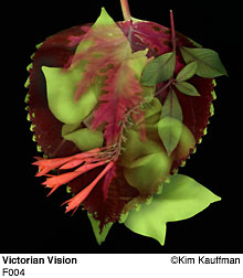 Fine Art photograph Victorian Vision from the Florilegium series by Kim Kauffman Photo collage with multiple scans of original 3d objects scanography.