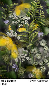 Fine Art photograph Wild Bounty from the Florilegium series by Kim Kauffman Photo collage with multiple scans of original 3d objects scanography.