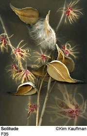 Fine Art photograph Solitude from the Florilegium series by Kim Kauffman Photo collage with multiple scans of original 3d objects scanography.
