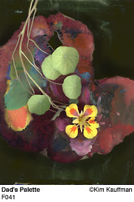 Fine Art photograph Dads Palette from the Florilegium series by Kim Kauffman Photo collage with multiple scans of original 3d objects scanography.