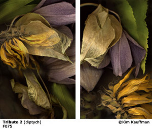 Fine Art photograph Dream of Monarchs from the Florilegium series by Kim Kauffman Photo collage with multiple scans of original 3d objects scanography.