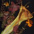 Autumns Bouquet an archival pigment print photo collage scannography by Kim Kauffman from the Florilegium series.