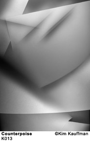 From the illumitone fine art series counterpoise photo collage by kim kauffman from multiple scans of original objects scanograph scannography
