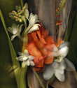 Fanfare from Kim Kauffman's Florilegium photographic series