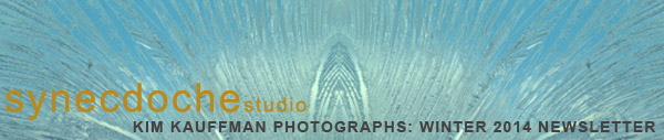 Synecdoche Studio Photographs of Kim Kauffman