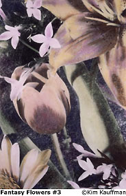 Fantasy Flowers 3 by Kim Kauffman Fine art alternative process on a silver print with selective developement and hand coloring of a botanical subject