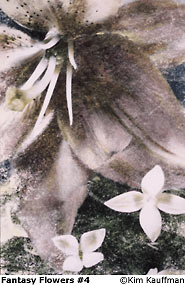 Fantasy Flowers 4 Fine art alternative photographic process on a silver print with selective developement and hand coloring of a botanical subject by Kim Kauffman