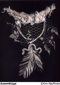 Assemblage a fine art b&w selectively toned silver print by Kim Kauffman
