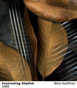 Fascinating Rhythm from the Collaborations series by Kim Kauffman made with multpile scans from orignal objects scannography